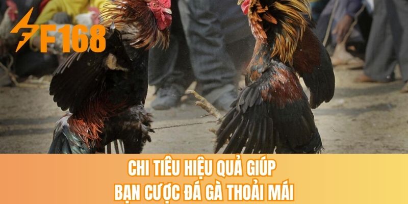 Chi tiêu hiệu quả giúp bạn cược đá gà thoải mái