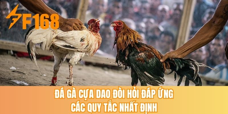 Đá gà cựa dao đòi hỏi đáp ứng các quy tắc nhất định