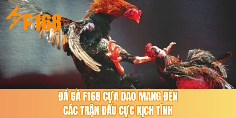 Đá gà F168 cựa dao mang đến các trận đấu cực kịch tính