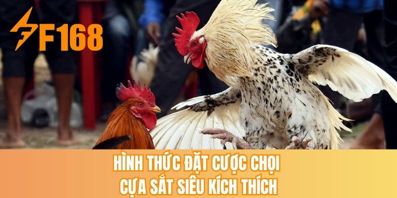 Hình thức đặt cược chọi cựa sắt siêu kích thích