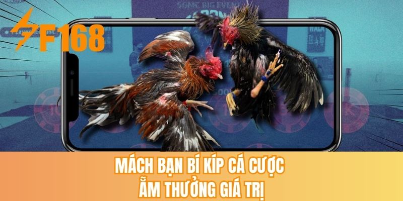 Mách bạn bí kíp cá cược ẵm thưởng giá trị