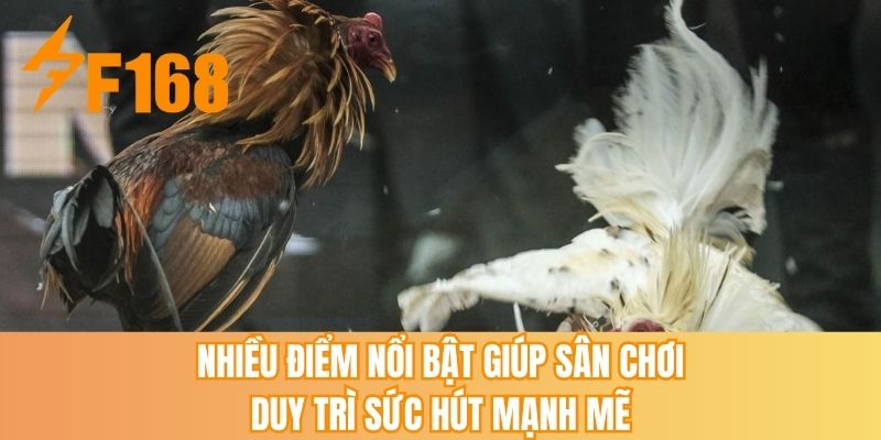 Nhiều điểm nổi bật giúp sân chơi duy trì sức hút mạnh mẽ